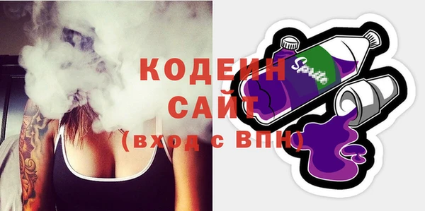 шишки Мегион