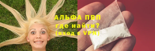 шишки Мегион