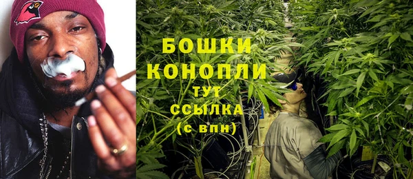 тгк Медвежьегорск