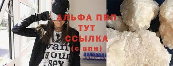 шишки Мегион