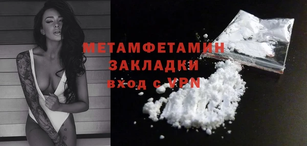 шишки Мегион