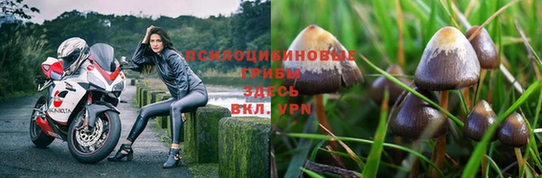 тгк Медвежьегорск