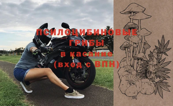 тгк Медвежьегорск