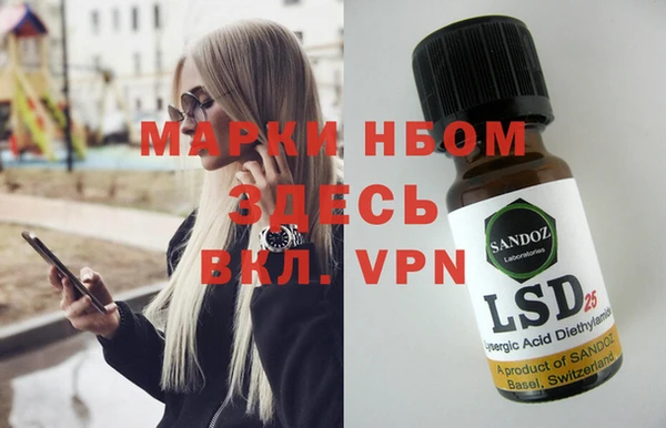 шишки Мегион