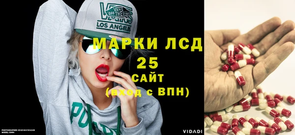 ПСИЛОЦИБИНОВЫЕ ГРИБЫ Янаул