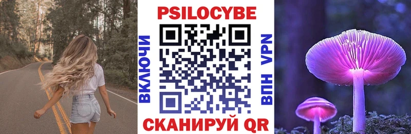 Купить  Десногорск  Псилоцибиновые грибы MAGIC MUSHROOMS 