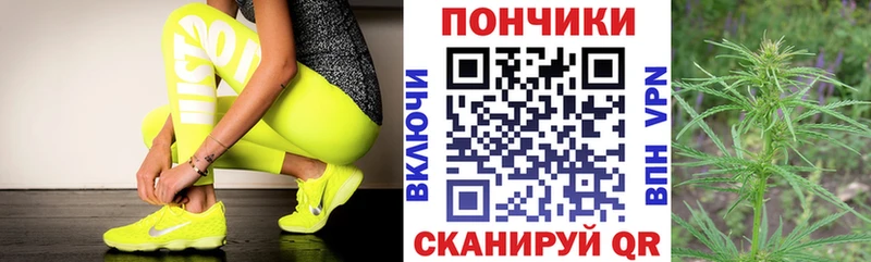 Купить закладки  Десногорск  Шишки марихуана план 